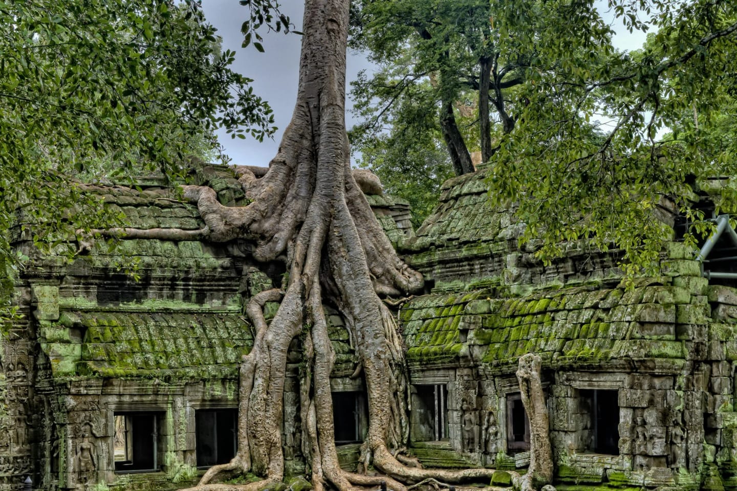 Descubre 8 cosas en Camboya más allá de Angkor Wat
