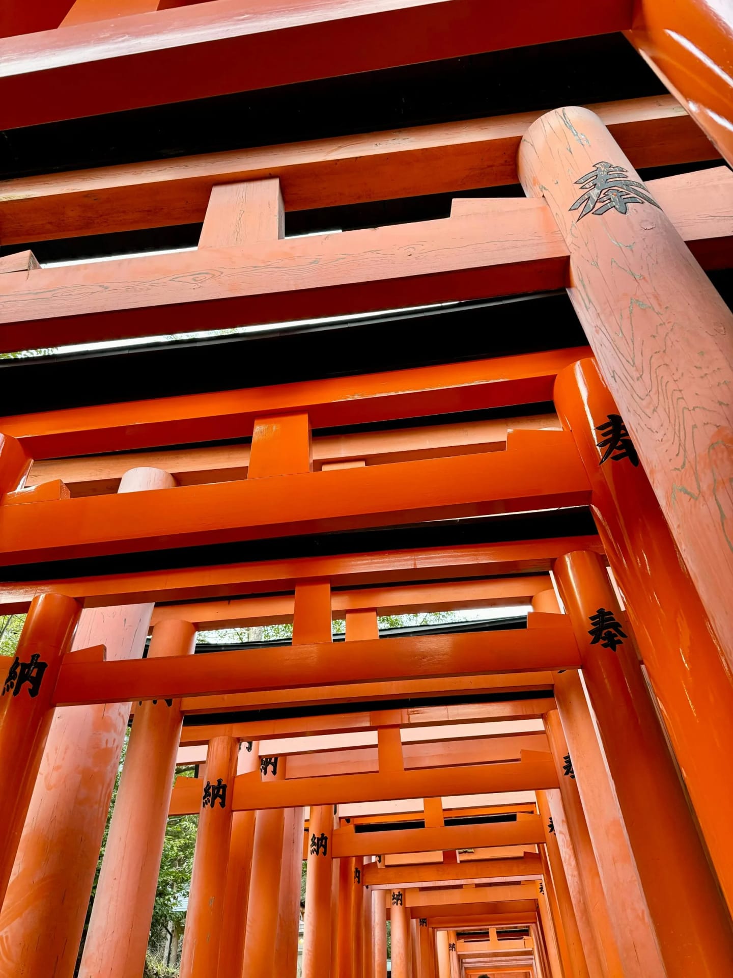 7 Experiencias Únicas que Solo Puedes Vivir en Japón