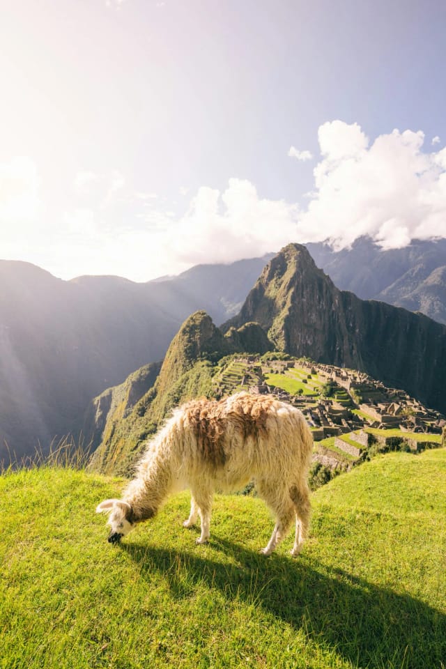 15 Claves para disfrutar tu viaje a Perú en agosto
