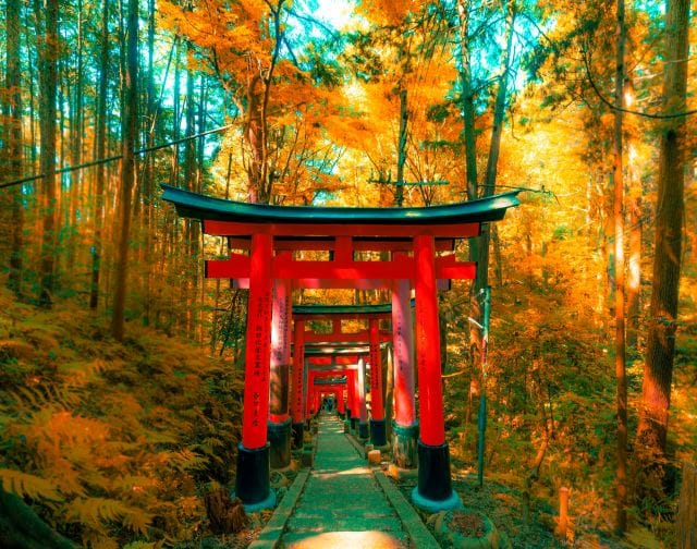 Lost in Japan