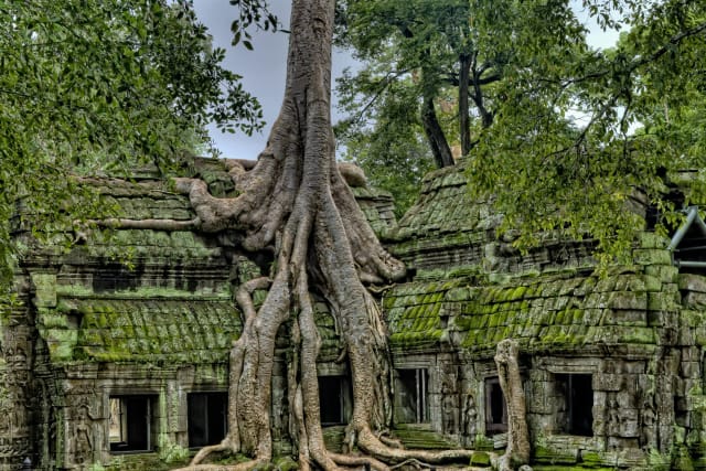 Descubre 8 cosas en Camboya más allá de Angkor Wat